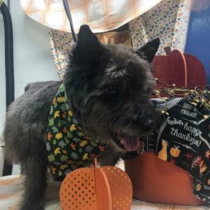 Meet your Posher, Scott